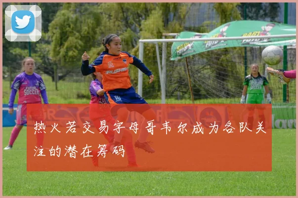 热火若交易字母哥韦尔成为各队关注的潜在筹码